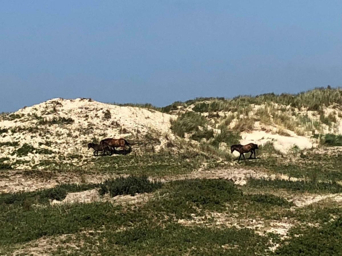 Ferienhaus Gluecklich Am Meer 3 Mit Wellnesszugang エグモント・アーン・ゼー エクステリア 写真